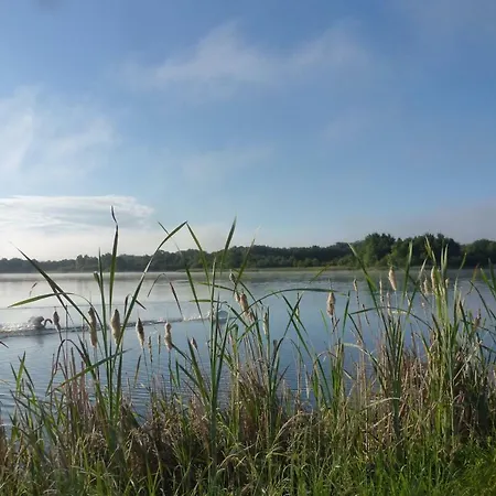Gite Des Etangs Paulnay Extérieur photo