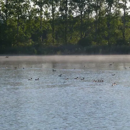 Gite Des Etangs Paulnay Extérieur photo