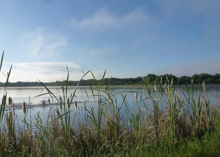 Gite Des Etangs