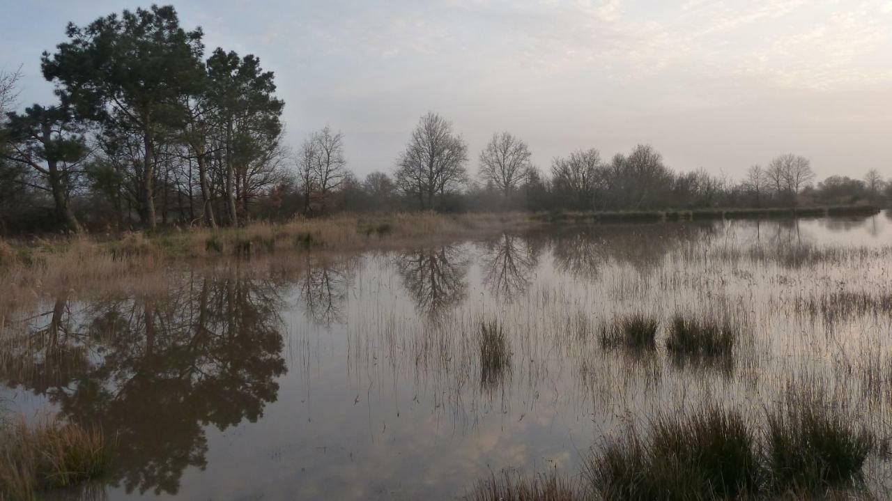 Des Etangs Hébergement de vacances *