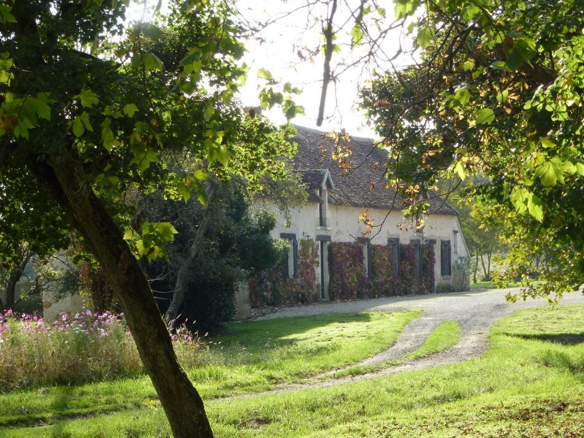 Des Etangs Hébergement de vacances *